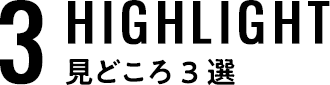 見どころ3選