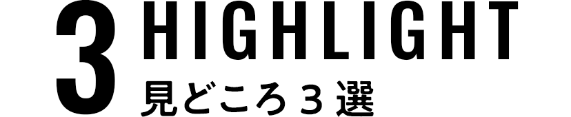 見どころ3選